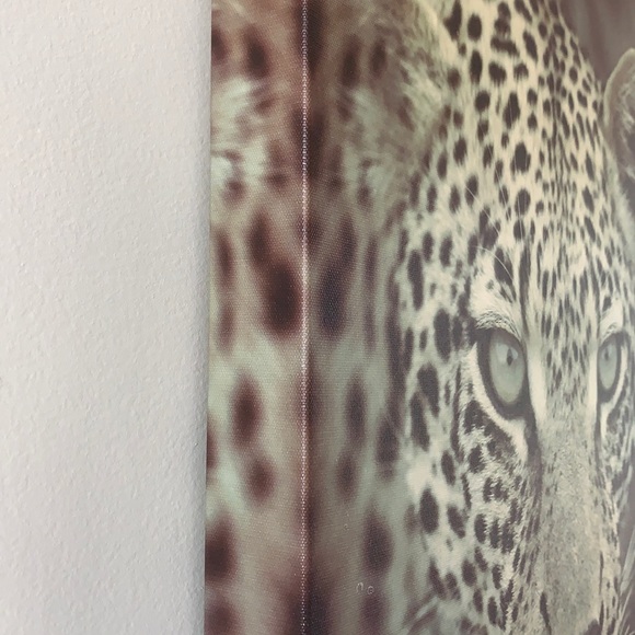 Cheetah canvas print - Picture 2 of 5